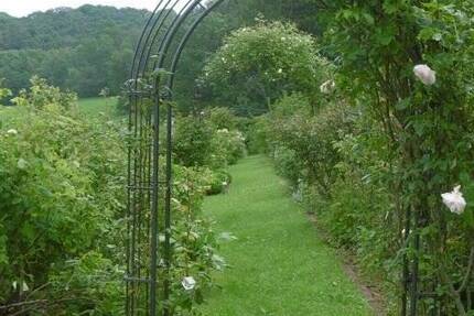 Grundstück Flachslanden Virnsberg - 98.000&euro; | Angebot:19305799