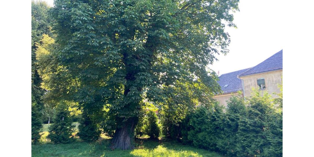 Loft - Studio - Atelier Haselbachtal - 2 Zimmer, 118 m&sup2;, 849&euro; | Angebot:26578299
