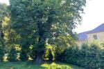 Loft - Studio - Atelier Haselbachtal - 2 Zimmer, 118 m&sup2;, 849&euro; | Angebot:26578299