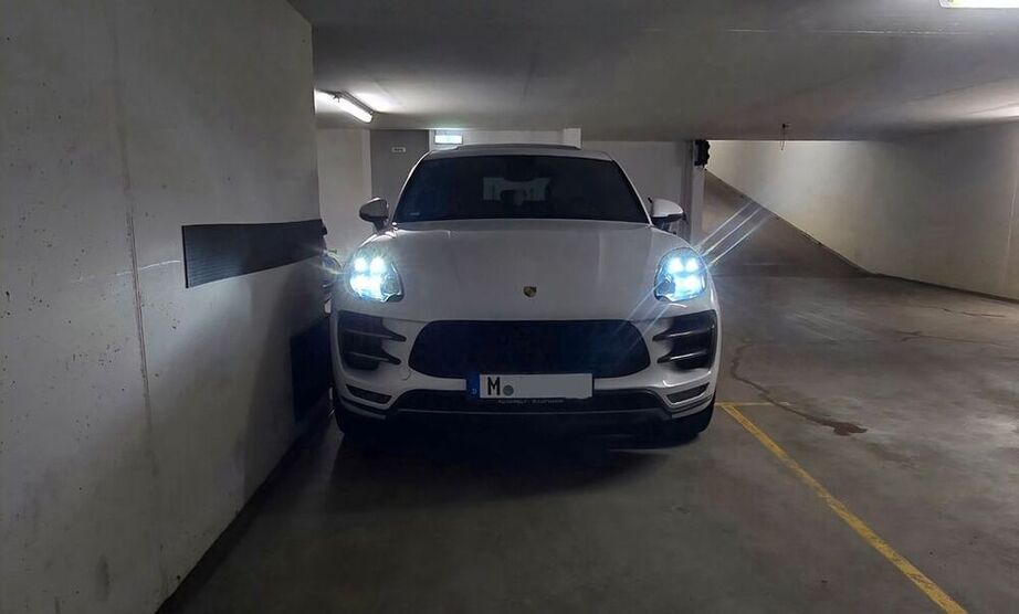 Macan