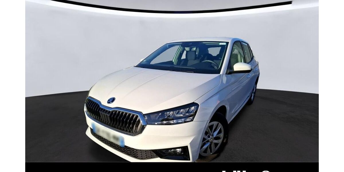Skoda Fabia 26.238 km 16.180 &euro; Trier 54292
