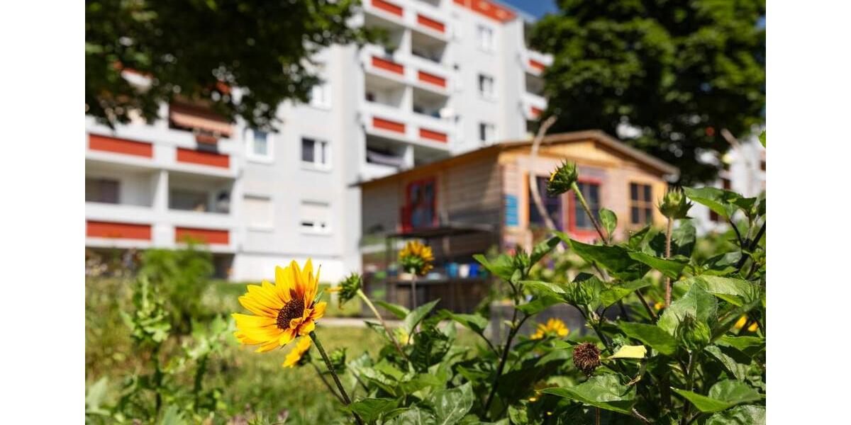Etagenwohnung Halle (Saale) Silberhöhe - 5 Zimmer, 133 m&sup2;, 600&euro; | Angebot:25974501