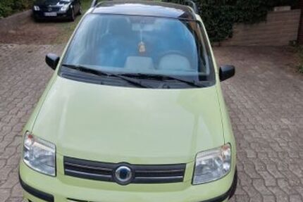 Fiat Panda 132.456 km 1.300 &euro; Obernkirchen 31683