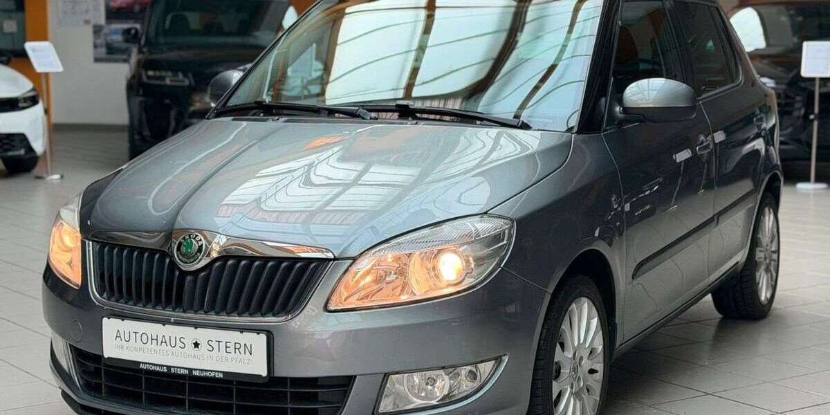 Skoda Fabia 95.000 km 7.990 € Mutterstadt 67112