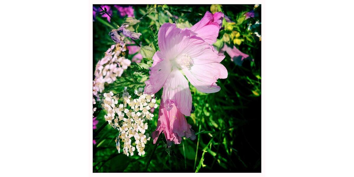 Einfamilienhaus Dülmen - 522.000&euro; | Angebot:25647815