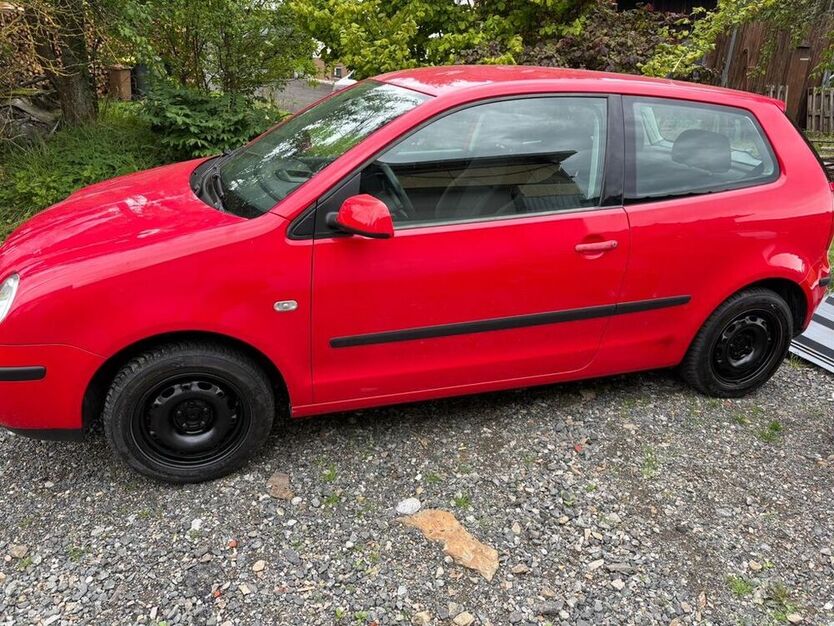 Polo