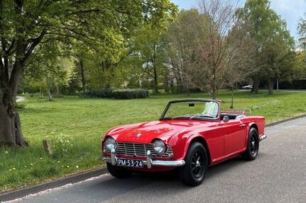 Triumph TR4