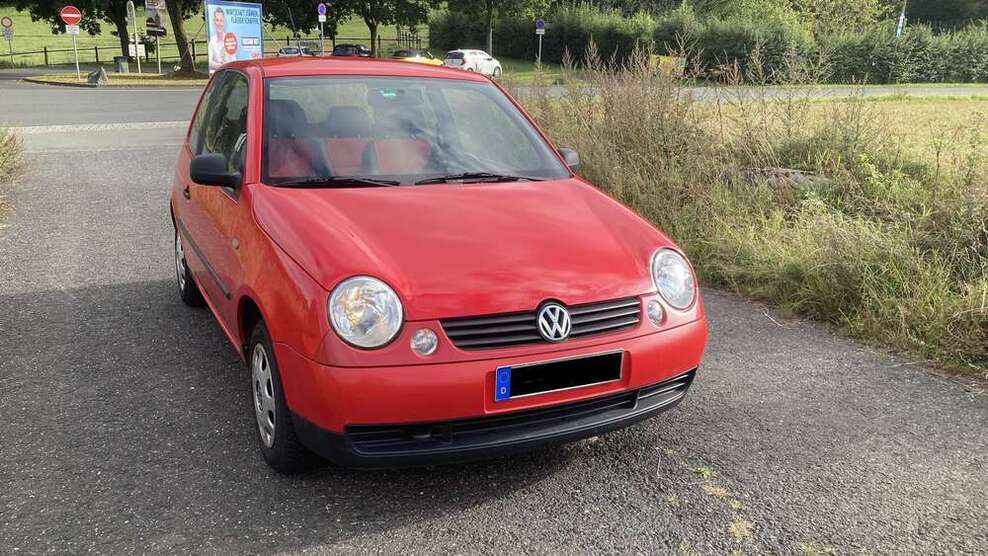 Lupo