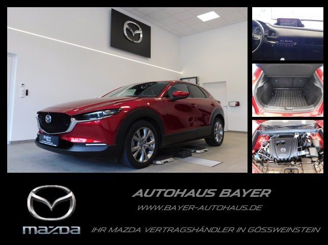 CX-30