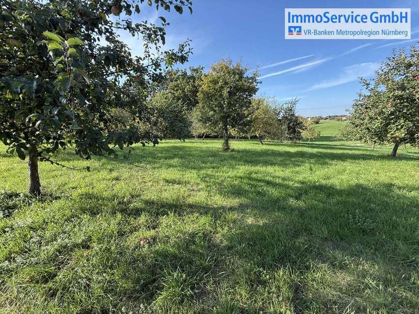 Grundstück in Lauf an der Pegnitz 40.000 € 11156 m² zimmer