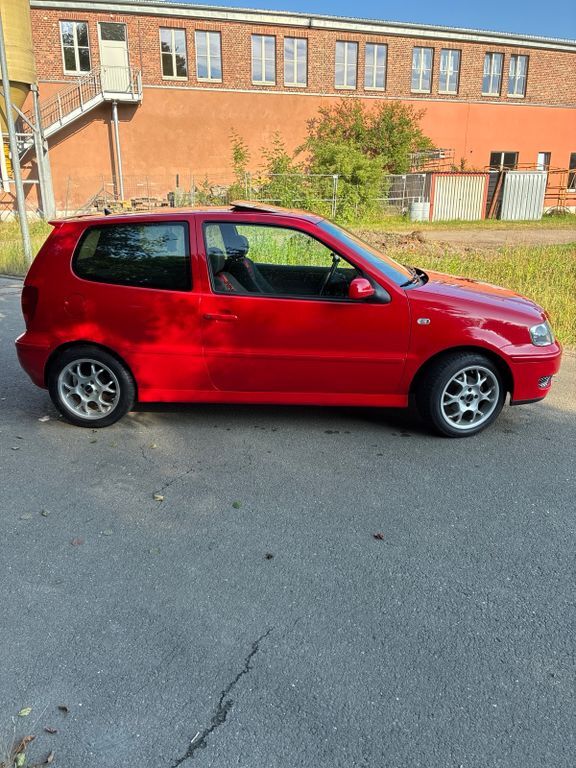 Polo