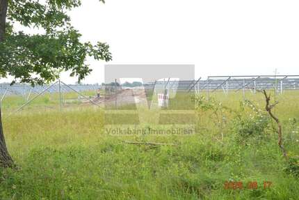 Grundstück Lachendorf - 650.000&euro; | Angebot:26999816