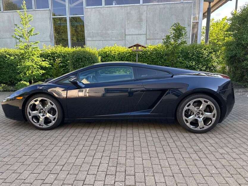 Gallardo