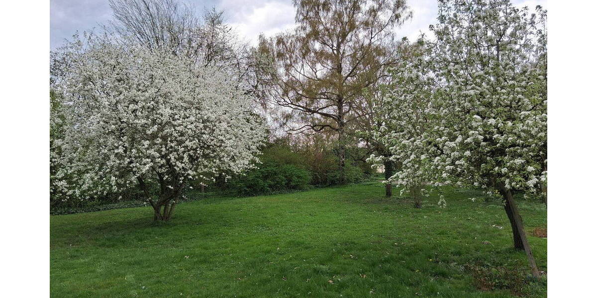 Mehrfamilienhaus, Wohnhaus Korbach Helmscheid - 7 Zimmer, 130 m&sup2;, 349.000&euro; | Angebot:26128048