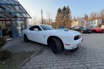 Dodge Challenger 3,6 Leder,Kamera,Sitzheizen 21.000 km 24.990 &euro; Rudolstadt 07407