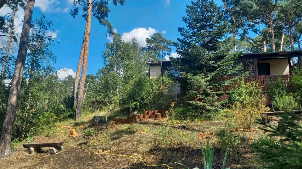 Bungalow Schönebeck (Elbe) Pretzien - 3 Zimmer, 35 m&sup2;, 35.000&euro; | Angebot:26356192