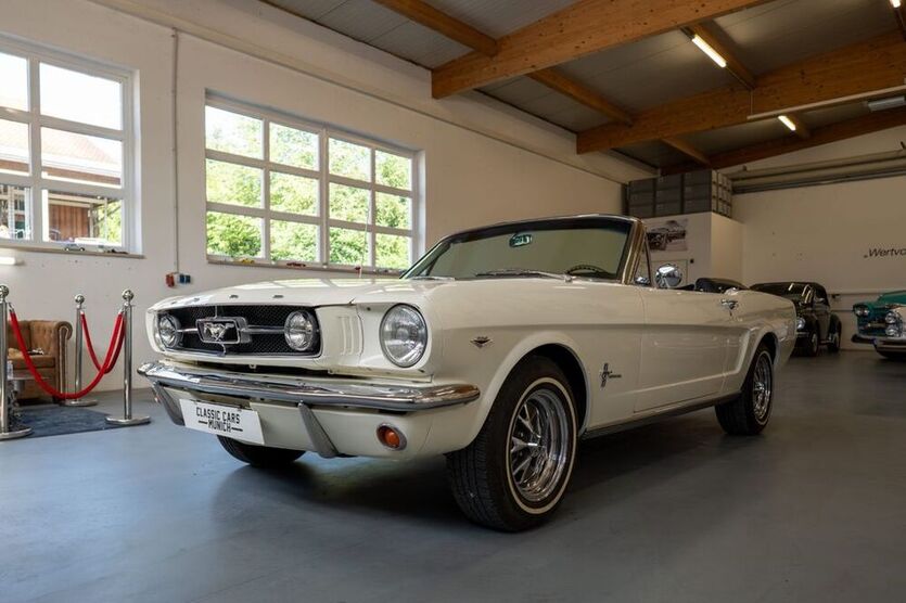 Mustang