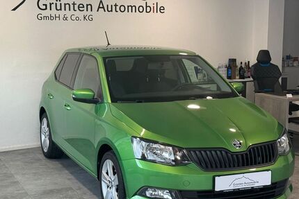 Skoda Fabia 89.080 km 9.840 € Oberstdorf 87561