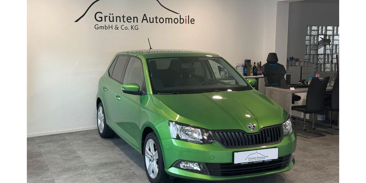 Skoda Fabia 89.080 km 9.840 € Oberstdorf 87561