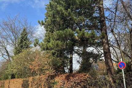 Haus Mettmann-Mettmann - Metzkausen Metzkausen - 4 Zimmer, 200 m&sup2;, 890.000&euro; | Angebot:24977768