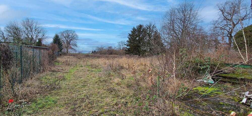 Bauträgerfreies Baugrundstück in Ahrensfelde - mehr als 3.000 qm zimmer