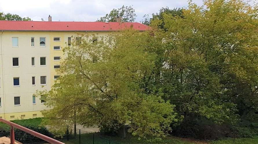 Vermietetes Mehrfamilienhaus, 24 Einheiten mit Balkonen - Mehrfamilienhaus, Wohnhaus Sachsen-Anhalt - Annaburg Annaburg | Angebot:26981009