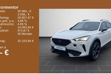 Cupra Formentor 48.450 km 30.980 &euro; Mainz 55129