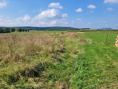 IHR WEG ZUM EIGENHEIM IN IDYLLISCHER EIFFELLAGE - Grundstück Großlittgen | Angebot:26817094