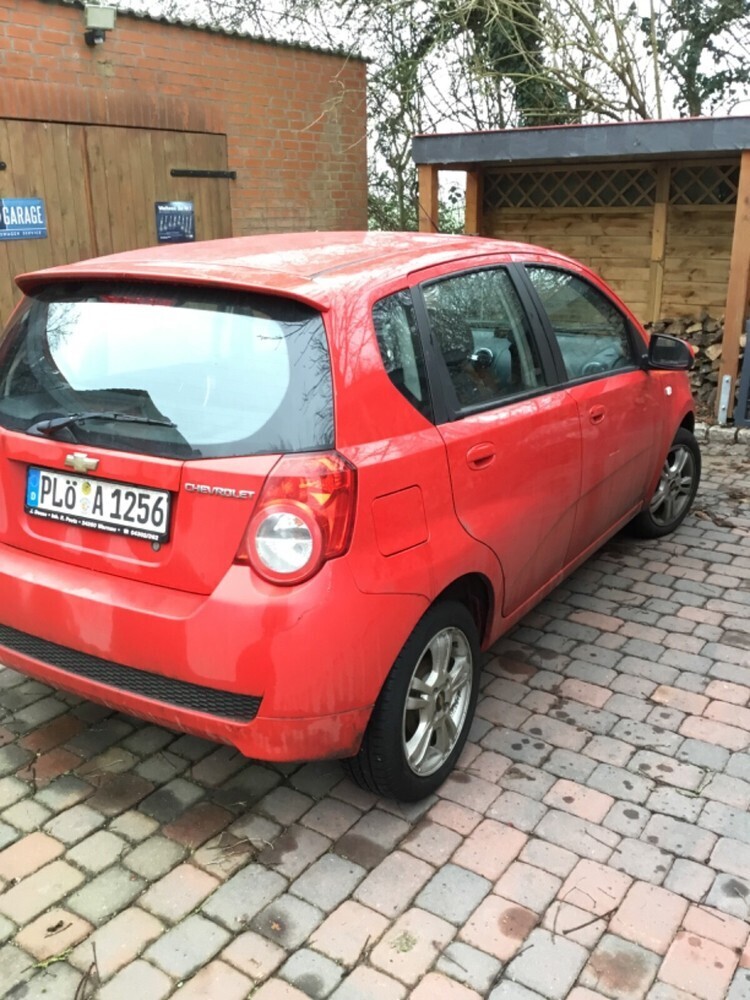 Aveo