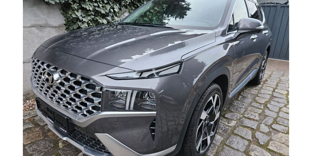 Hyundai SANTA FE 43.000 km 34.500 &euro; Forst 03149