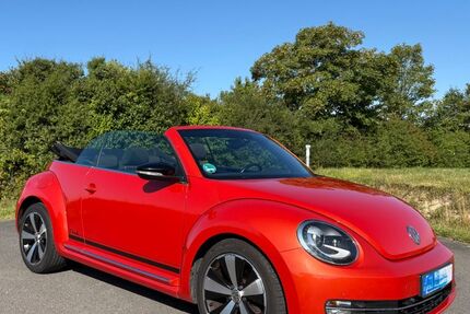 VW Beetle 225.000 km 10.900 &euro; Weidenberg 95466