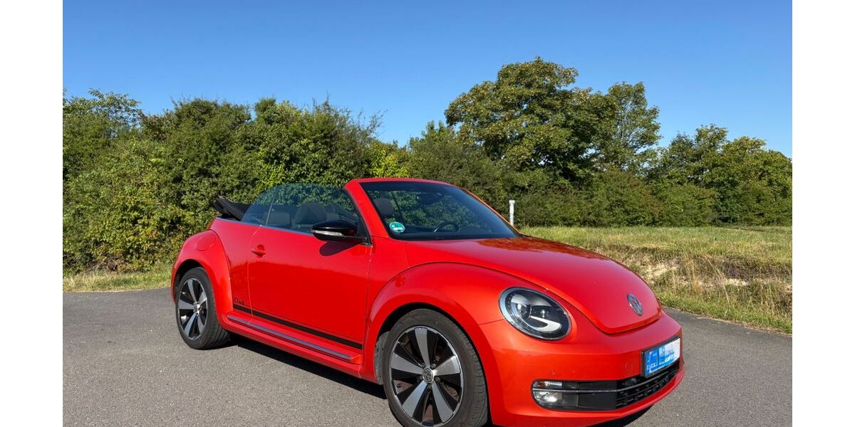 VW Beetle 225.000 km 10.900 &euro; Weidenberg 95466