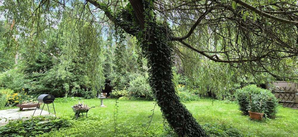 Grundstück Wandlitz - 119.000&euro; | Angebot:24972837