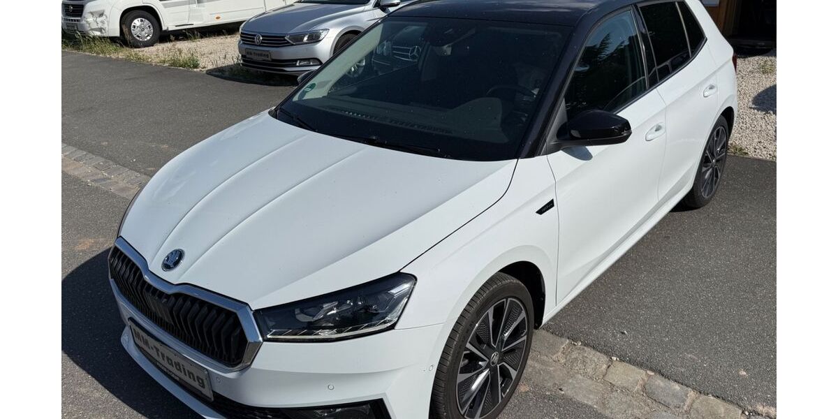 Skoda Fabia 49.890 km 17.999 &euro; Nürnberg 90431
