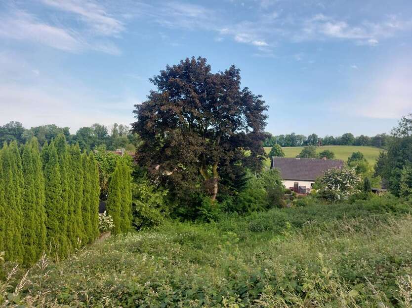 Grundstück zu verkaufen in Reichshof 79.990 € 754 m² zimmer