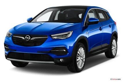 Opel Grandland (X) 121.200 km 14.890 &euro; Werneuchen 16356