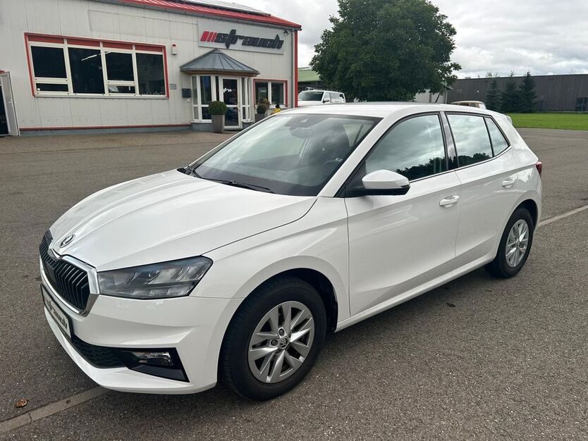 Skoda Fabia 12.000 km 17.680 € Geisingen 78187