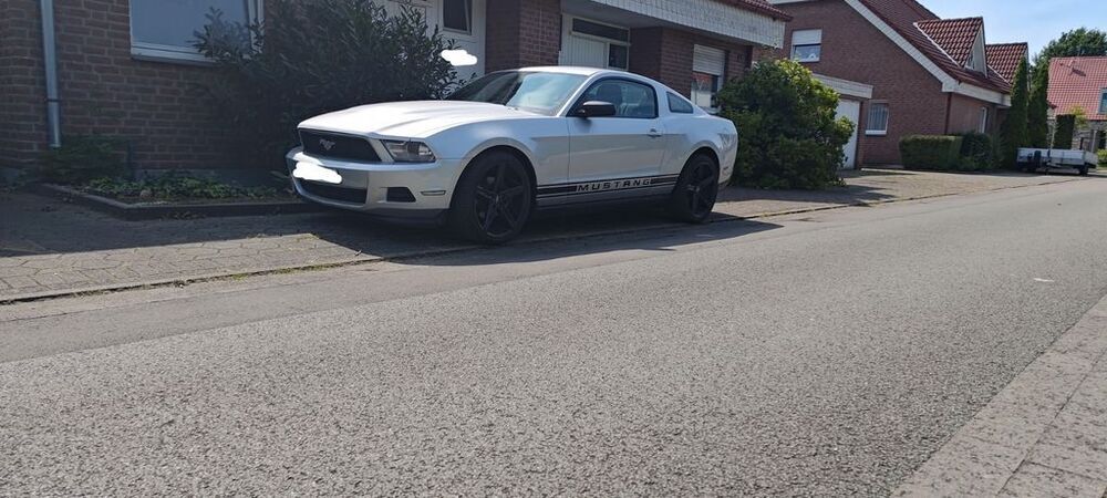 Mustang