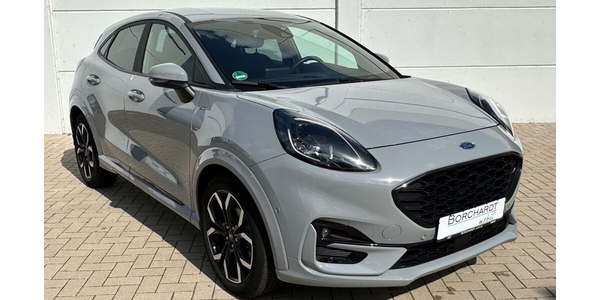 Ford Puma 55.812 km 19.980 &euro; Diepholz 49356