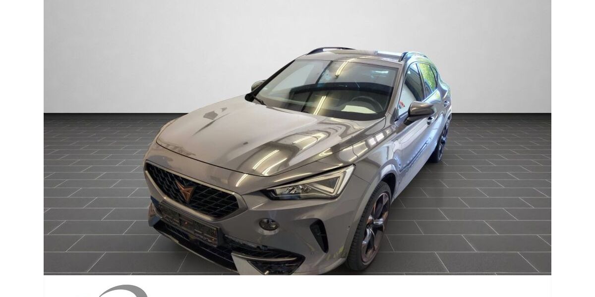 Cupra Formentor 89.561 km 25.980 &euro; Mainz 55129