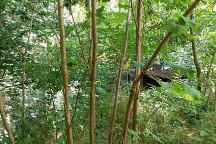 Haus Moritzburg - 2 Zimmer, 78 m&sup2;, 1.800&euro; | Angebot:24835471