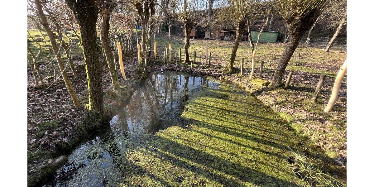 Grundstück Extertal Bösingfeld - 51.000&euro; | Angebot:25729448