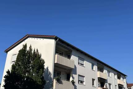 Büro in Bad Bergzabern 375.000 € 200 m² zimmer