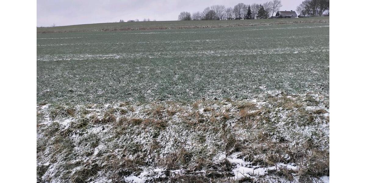 Grundstück Feuchtwangen - 12&euro; | Angebot:26121179
