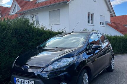 Ford Fiesta 91.264 km 5.000 € Burgstetten 71576