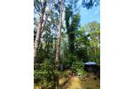 Bungalow Wesenberg - 3 Zimmer, 50 m&sup2;, 70.000&euro; | Angebot:26976483