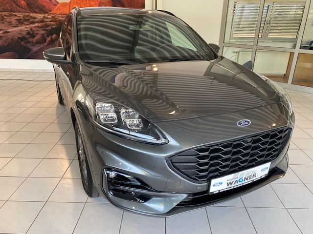 Kuga
