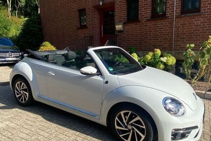 VW Beetle 44.700 km 17.500 &euro; Hilter 49176