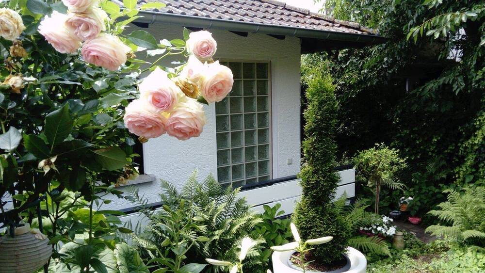 Einfamilienhaus Bad Soden am Taunus / Neuenhain Neuenhain - 4 Zimmer, 169 m&sup2;, 848.000&euro; | Angebot:25958116