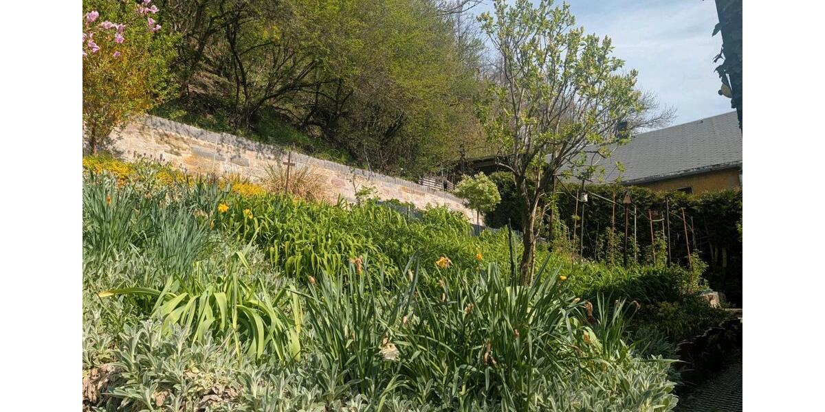 Grundstück Bad Blankenburg - 45.000&euro; | Angebot:26418754